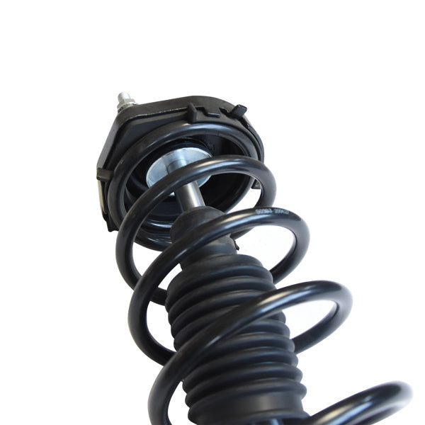 2 PCS COMPLETE STRUT 1999-2003 Mazda Protege