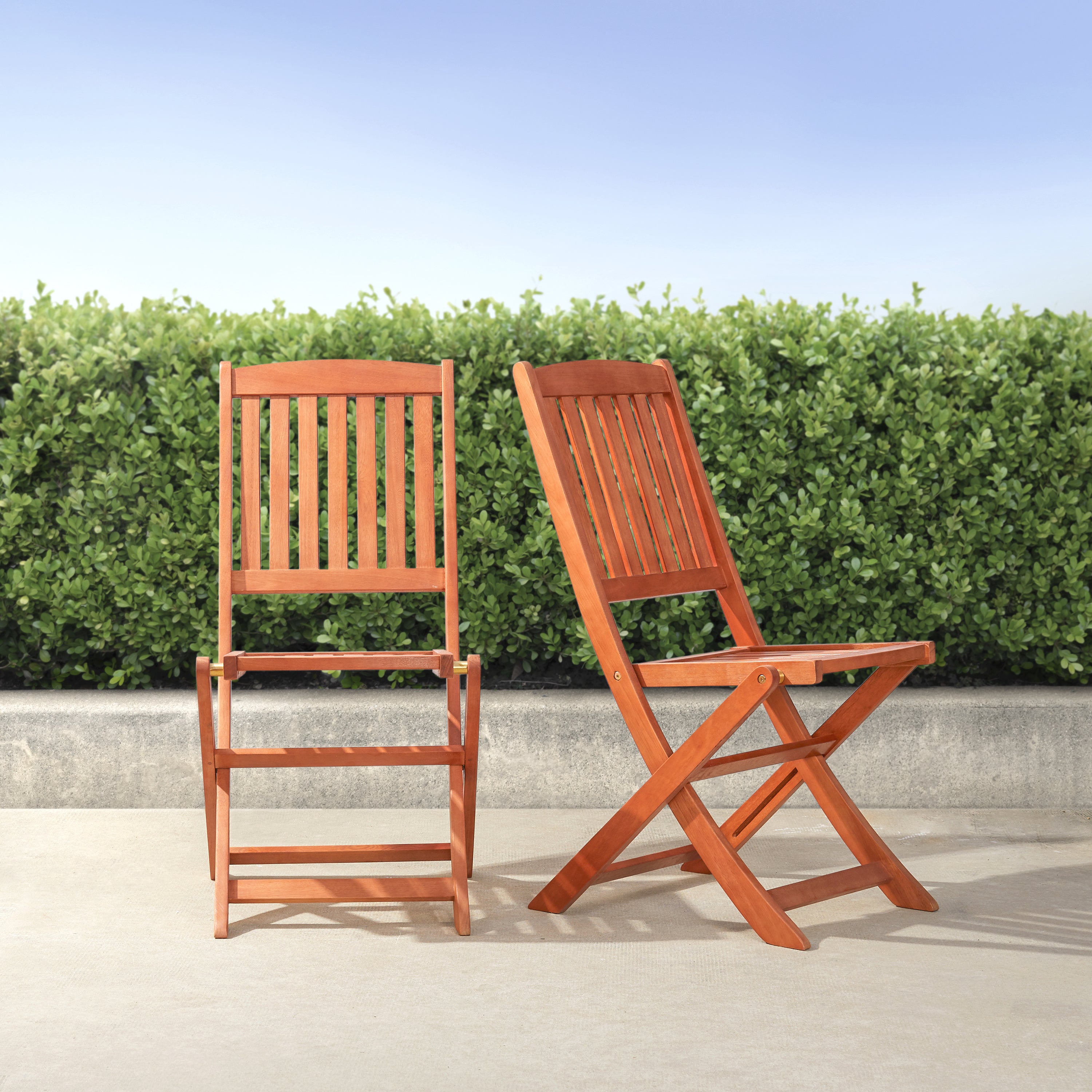 Lucius Reddish Brown Patio Folding Chairs (Set of 2)