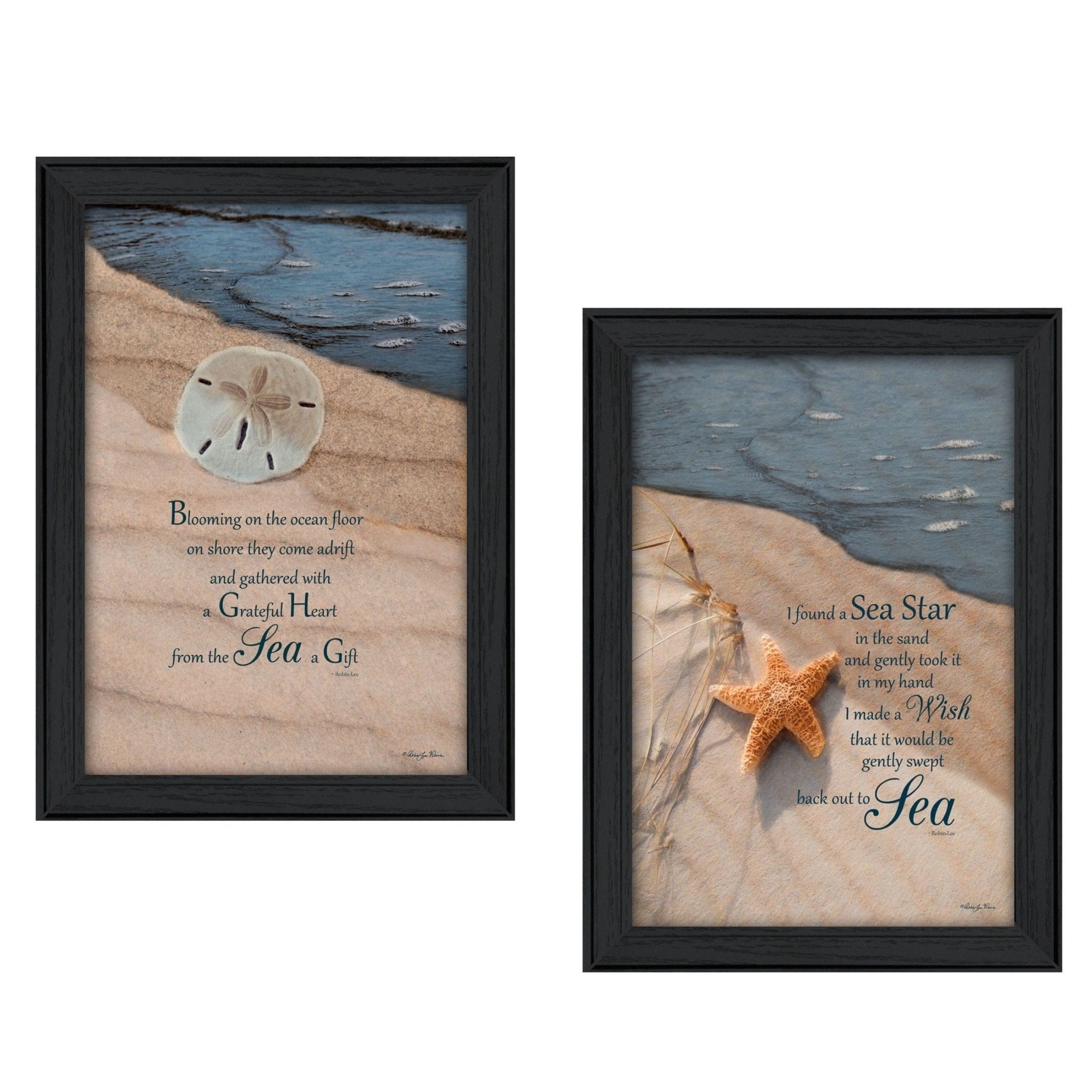 "A Gift from the Sea Collection" 2 - Piece Vignette By Robin - Lee Vieira, Printed Wall Art, Ready To Hang Framed Poster, Black Frame - Rainbowbestdeals