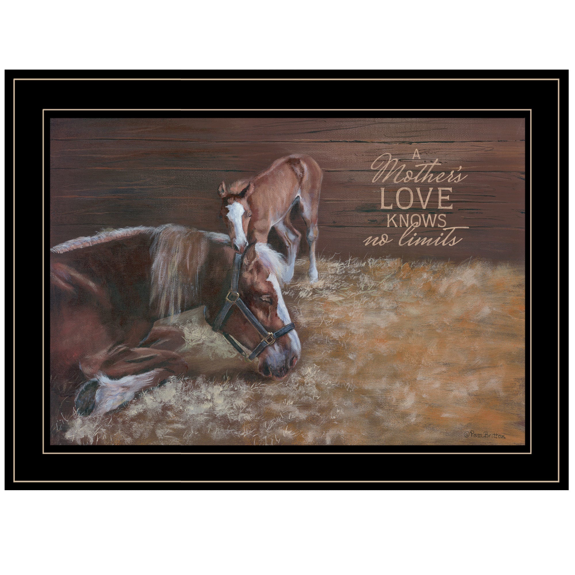 "A Mother Love (Horses)" by Pam Britton, Ready to Hang Framed Print, Black Frame - Rainbowbestdeals