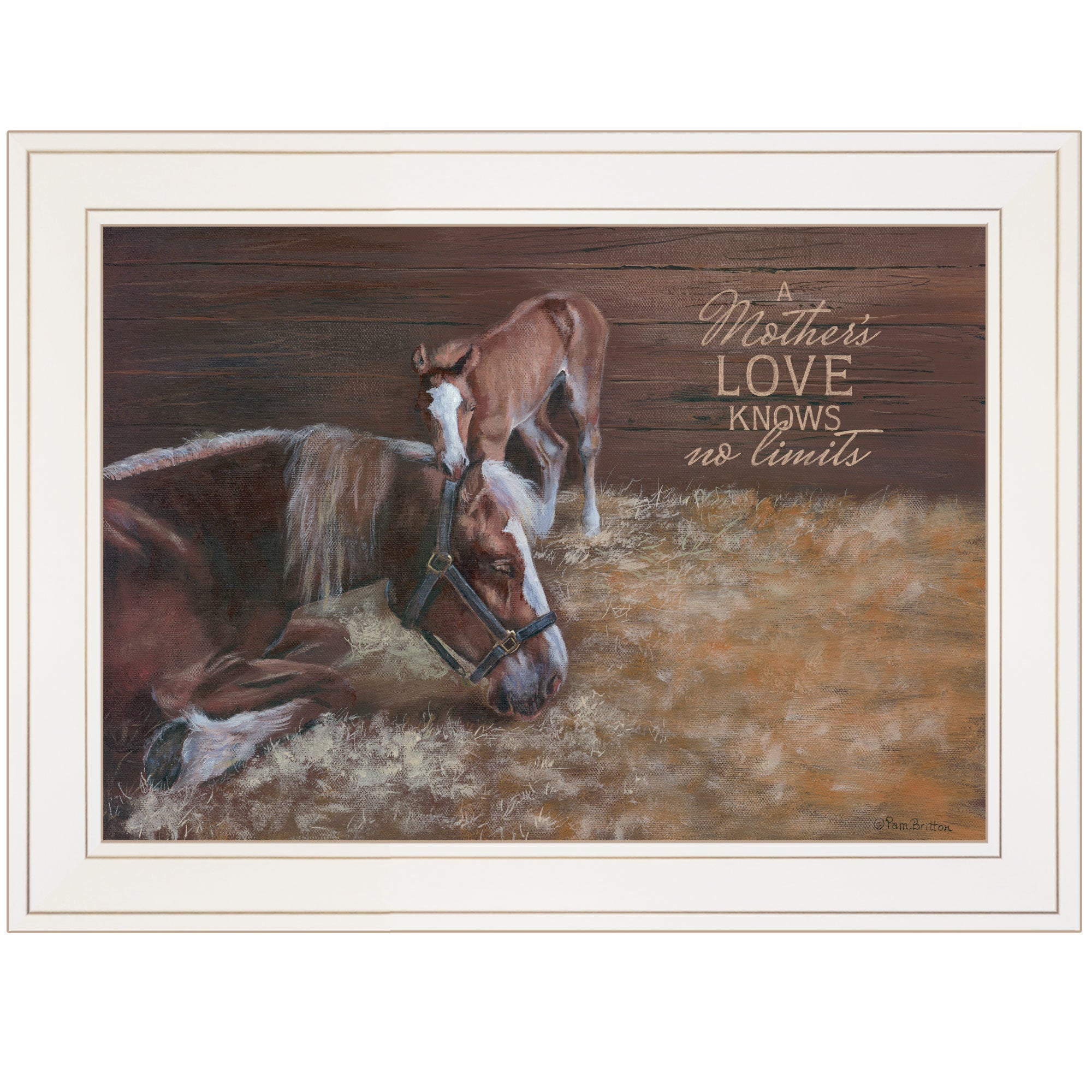 "A Mother Love (Horses)" by Pam Britton, Ready to Hang Framed Print, White Frame - Rainbowbestdeals