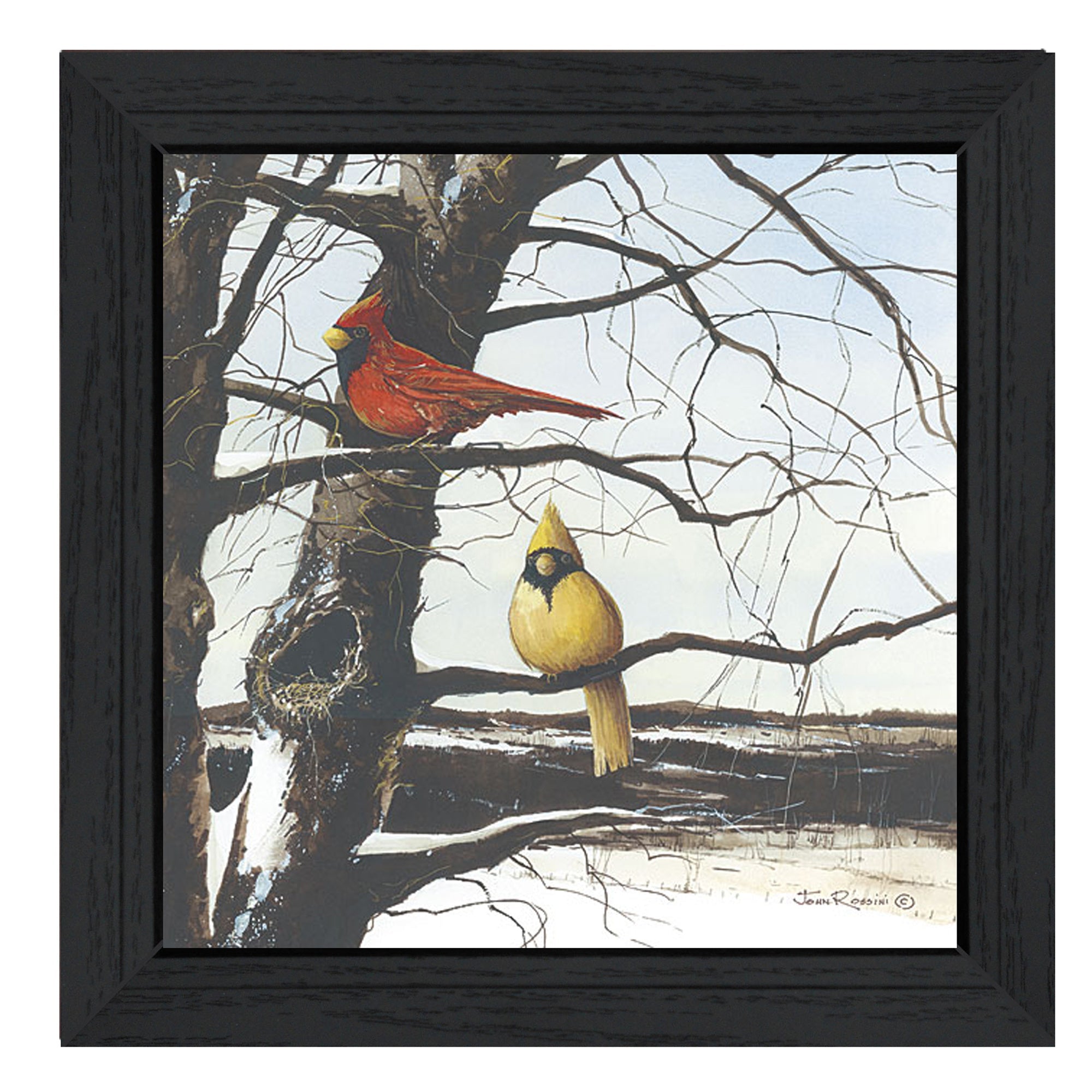 "A View from Above" By John Rossini, Printed Wall Art, Ready To Hang Framed Poster, Black Frame - Rainbowbestdeals