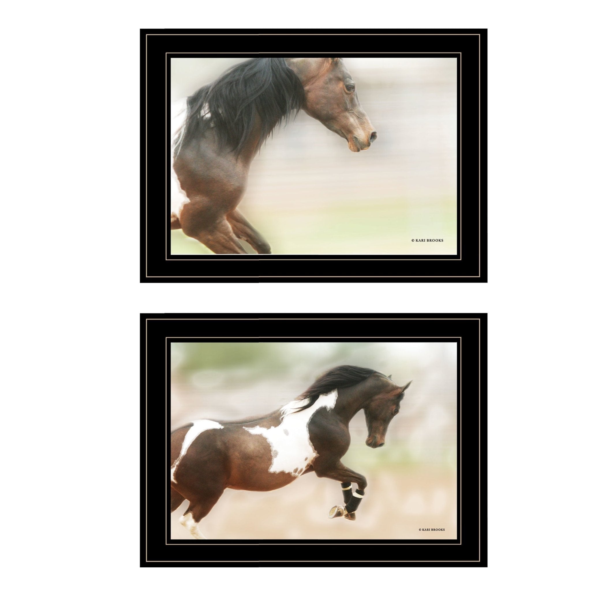 "A Wild Kookie" 2 - Piece Vignette By Kari Brooks, Ready to Hang Framed Print, Horse Wall Art, Black Frame - Rainbowbestdeals