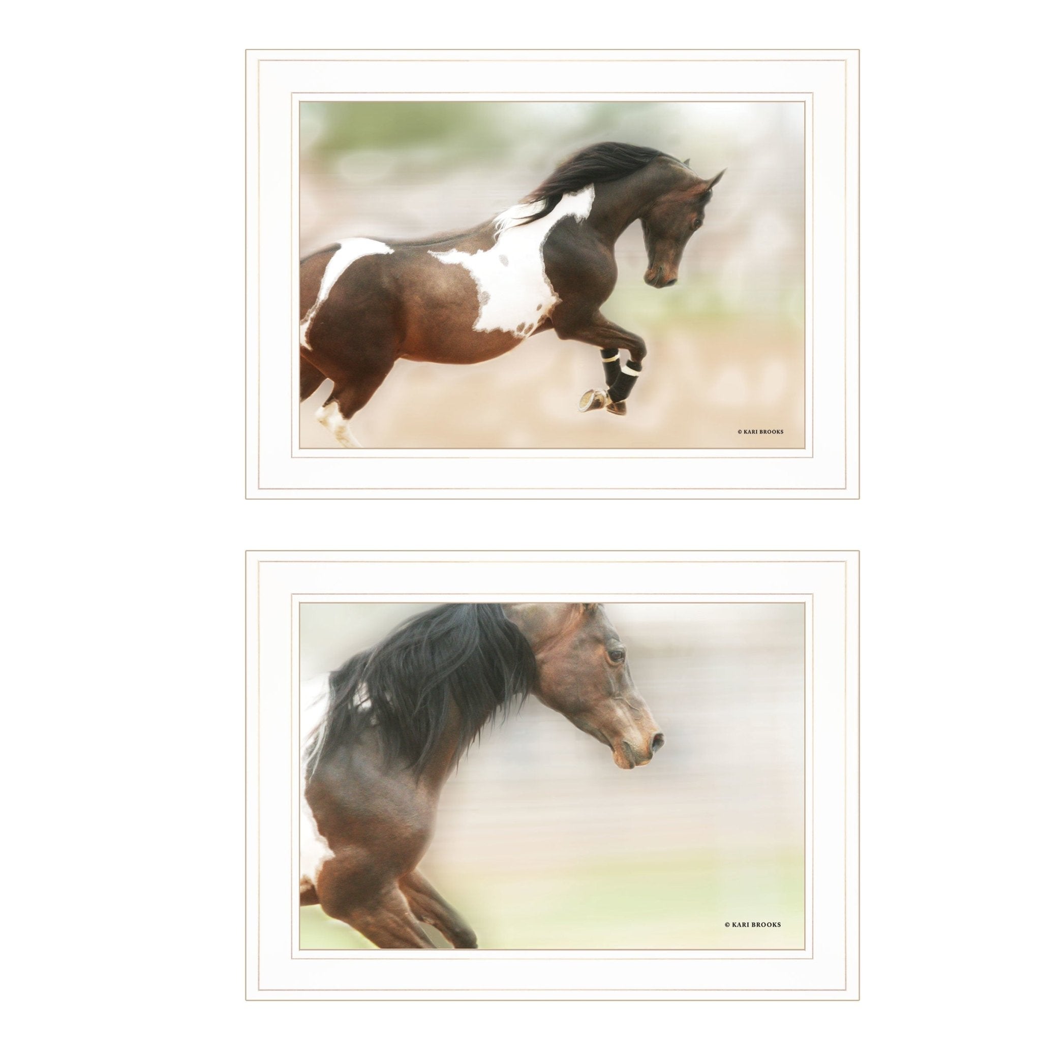 "A Wild Kookie" 2 - Piece Vignette By Kari Brooks, Ready to Hang Framed Print, Horse Wall Art, White Frame - Rainbowbestdeals