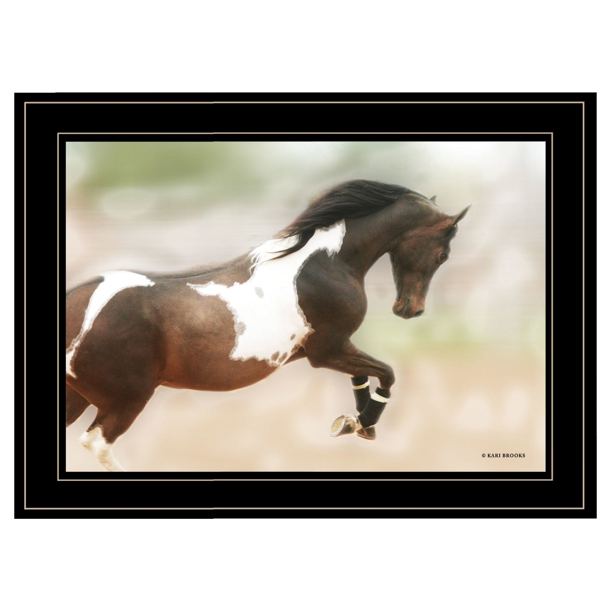 "A Wild Kookie" By Kari Brooks, Ready to Hang Framed Print, Horse Wall Art, Black Frame - Rainbowbestdeals