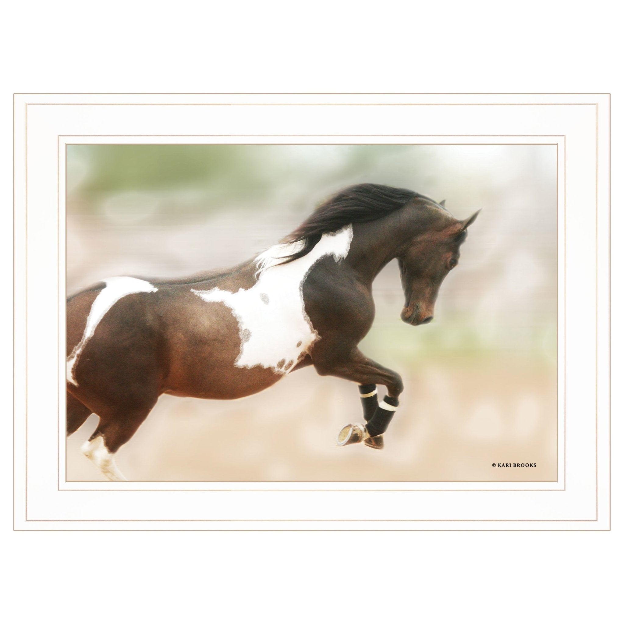 "A Wild Kookie" By Kari Brooks, Ready to Hang Framed Print, Horse Wall Art, White Frame - Rainbowbestdeals