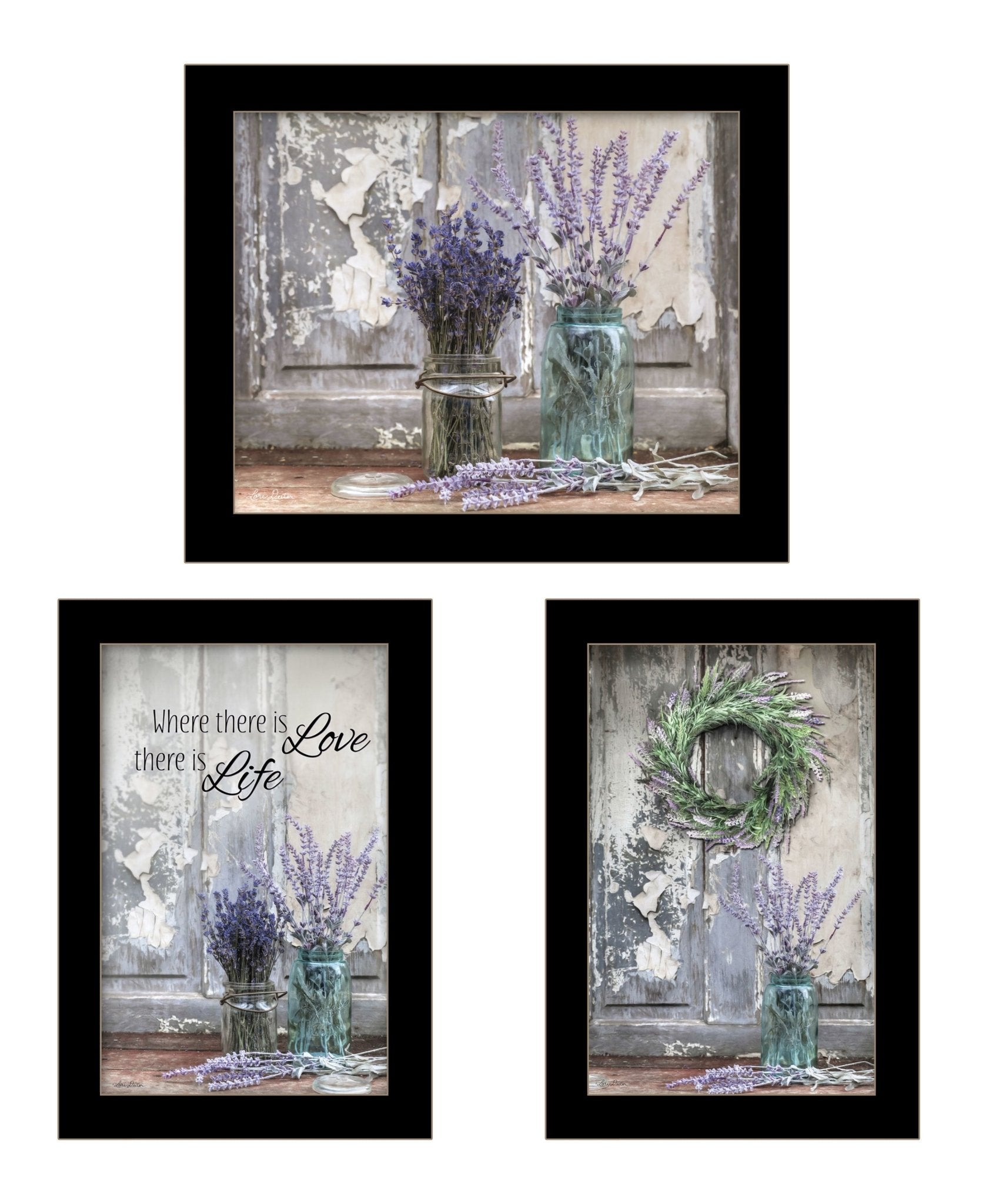 "Abundance of Beauty Collection" 3 - Piece Vignette by Lori Deiter, Ready to Hang Framed Print, Black Frame - Rainbowbestdeals