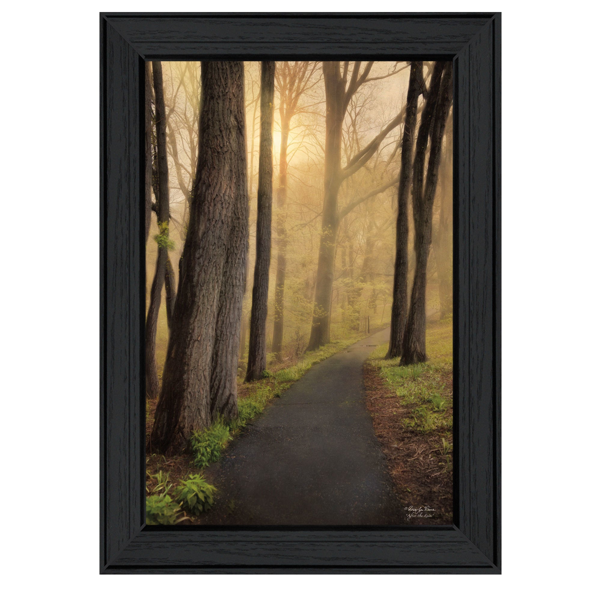 "After The Rain" By Robin - Lee Vieira, Printed Wall Art, Ready To Hang Framed Poster, Black Frame - Rainbowbestdeals