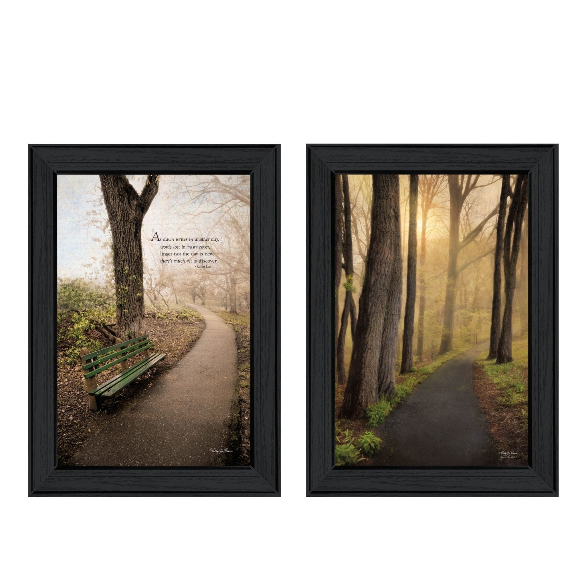 "After The Rain Collection" 2 - Piece Vignette By Robin - Lee Vieira, Printed Wall Art, Ready To Hang Framed Poster, Black Frame - Rainbowbestdeals