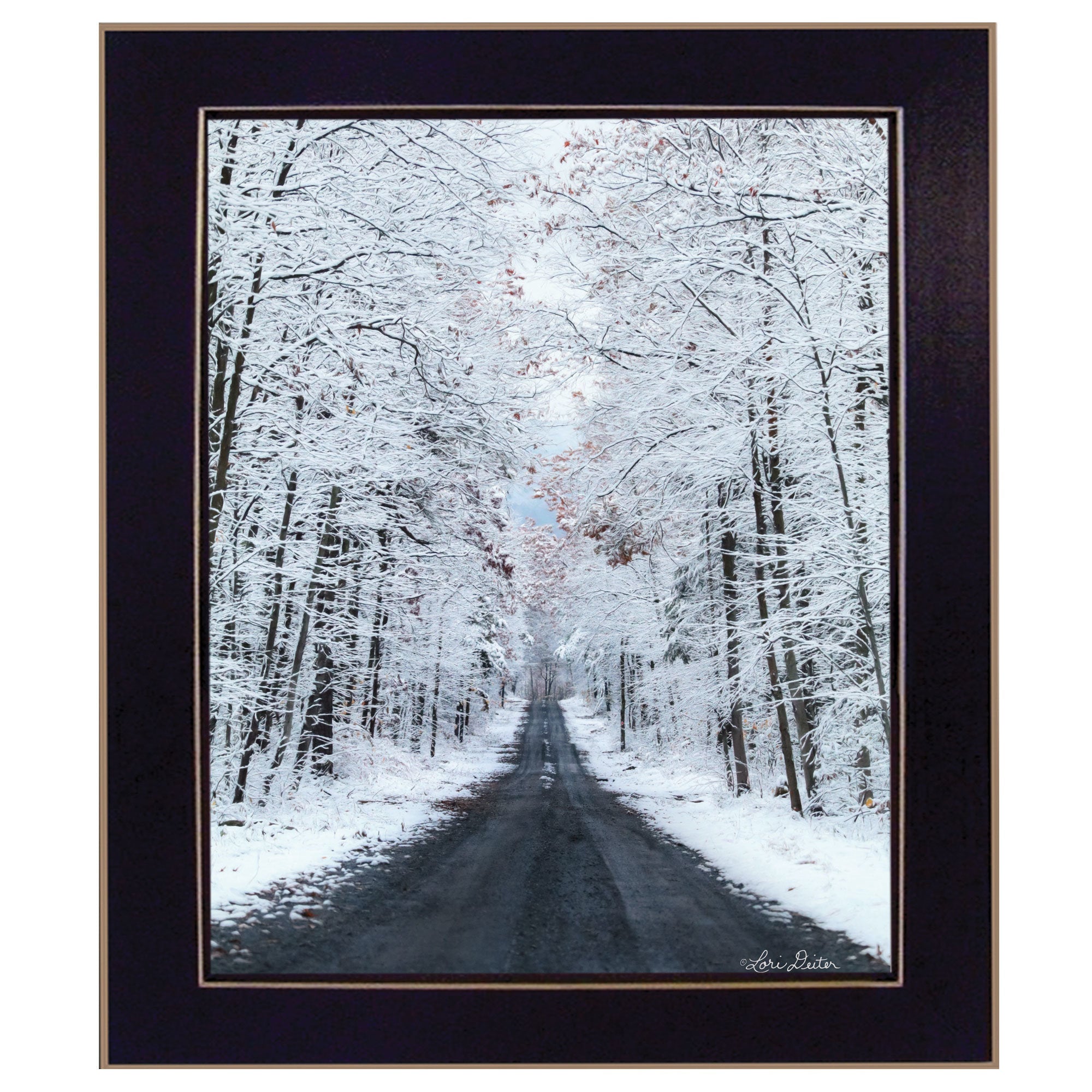 "All Roads lead Home (winter lane)" by Lori Deiter, Ready to Hang Framed Print, Black Frame - Rainbowbestdeals