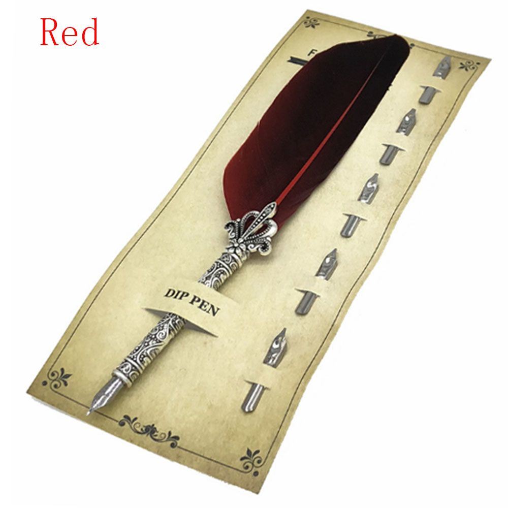 1 Set Vintage Quill Dip Pen Turkey Feather Pen Quill Oblique + 5 Nibs+ Pen Set Gift