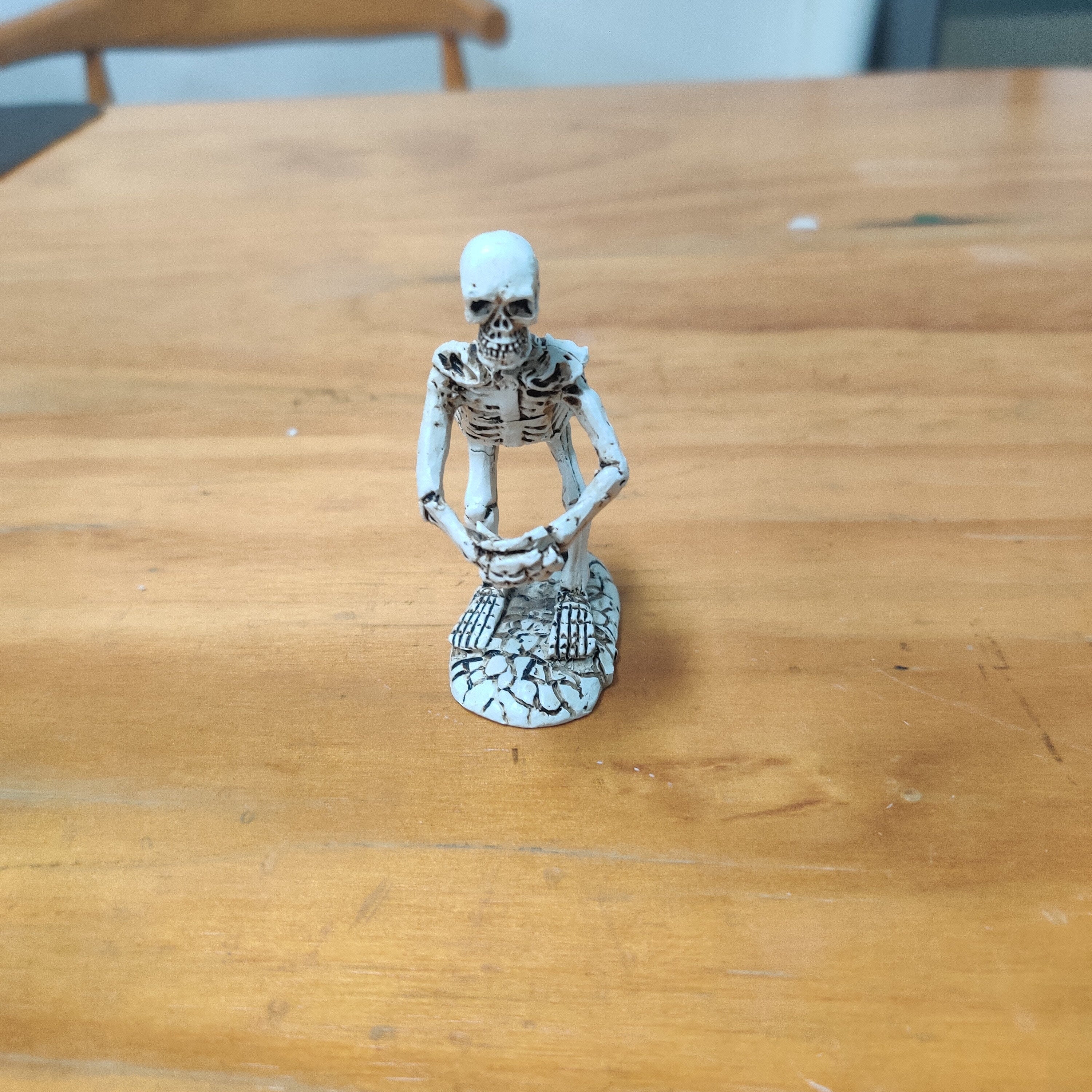 Small Skeleton Pen Holder Small Pen Insert