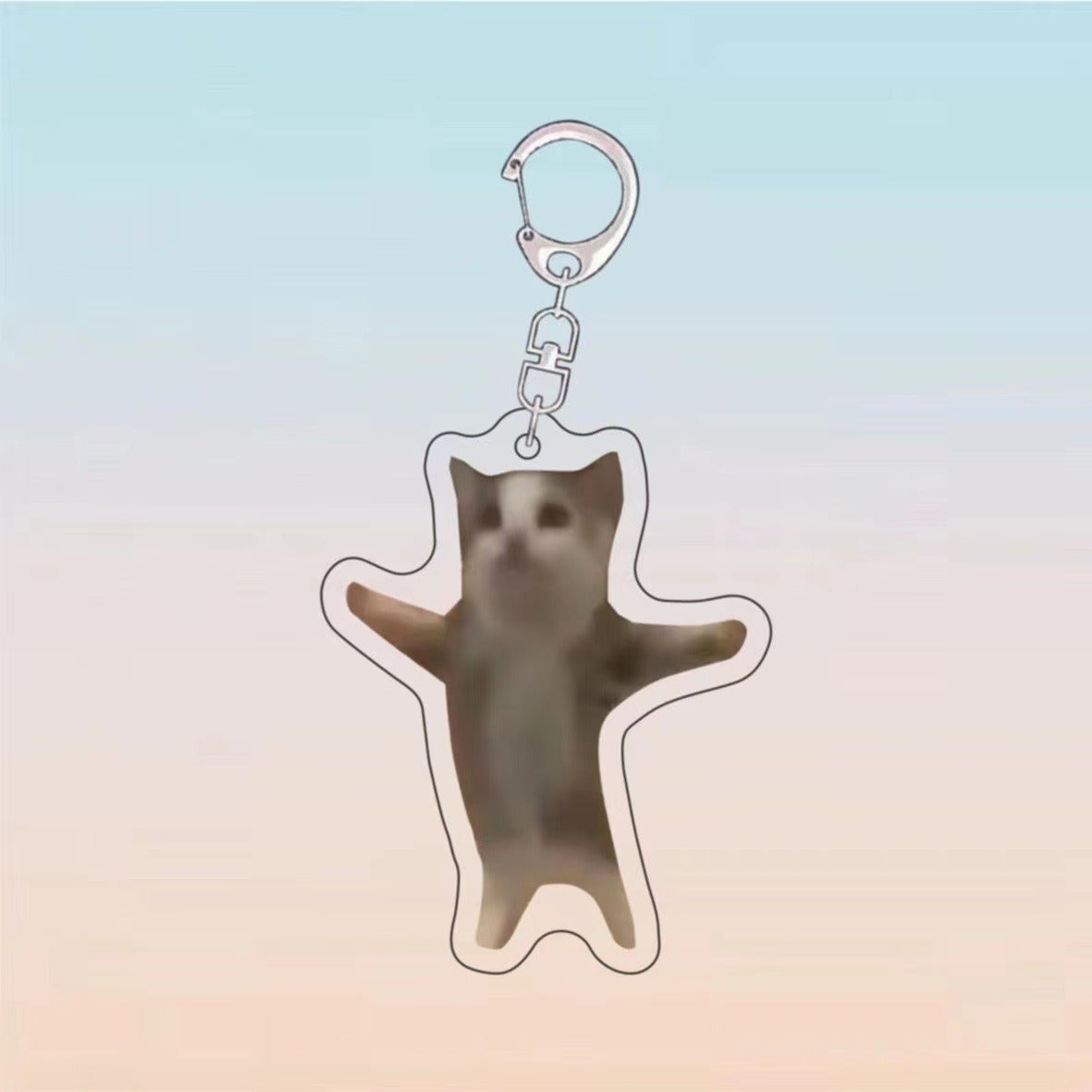 Food Cat Head Banana Cat Expression Keychain