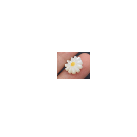 Natural Shell Small Daisy Loose Beads