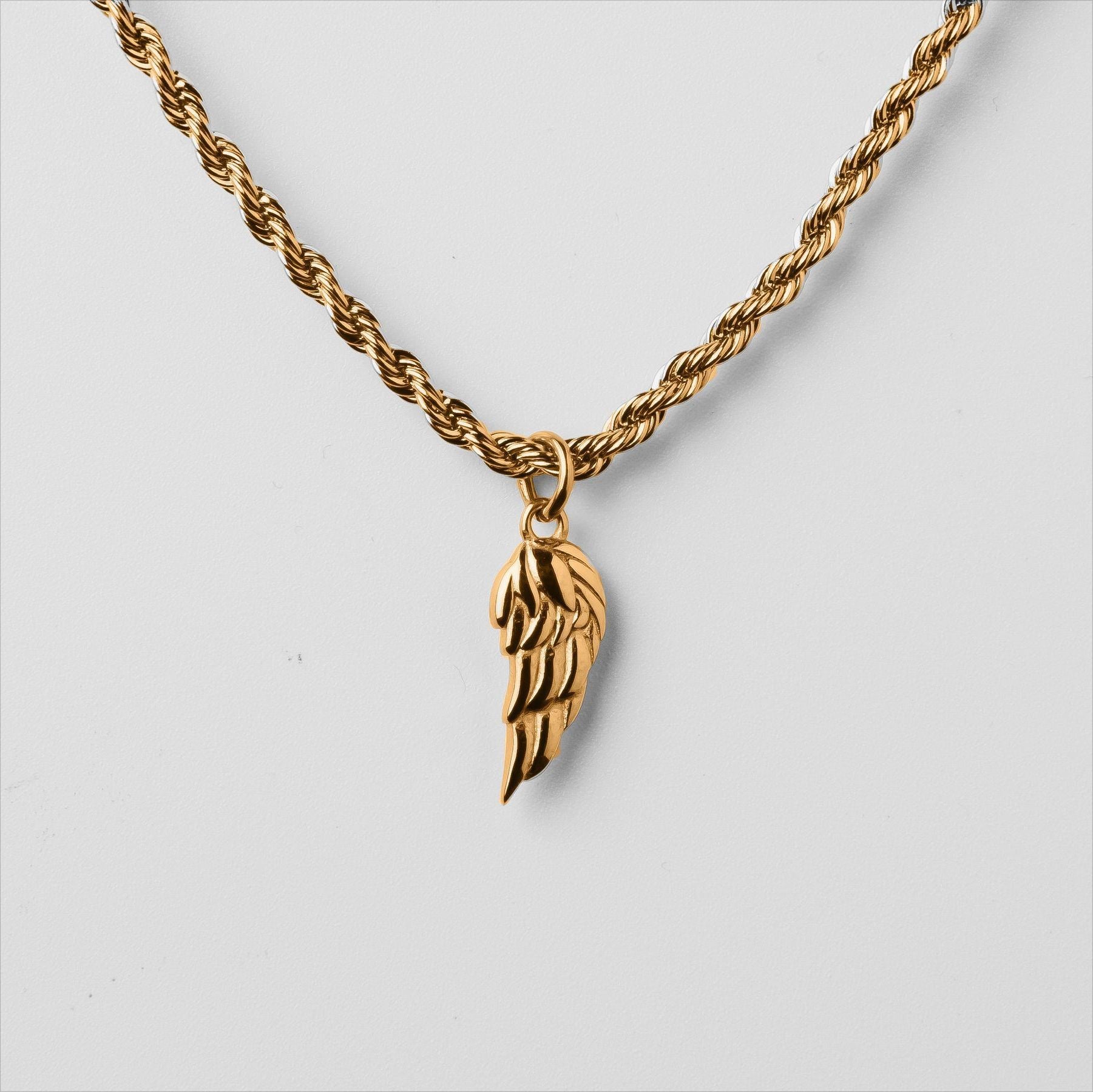 Titanium Steel Men's Classic Wings Pendant Necklace