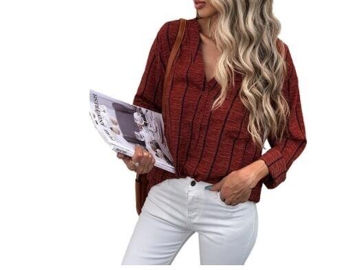 Striped Long Sleeve V-Neck Casual Shirt