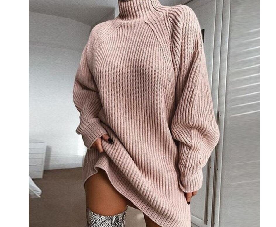 Half Turtleneck Sweater Dress