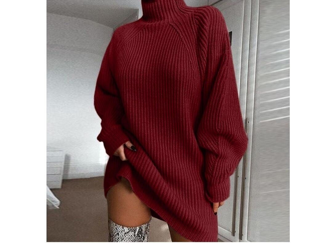 Half Turtleneck Sweater Dress