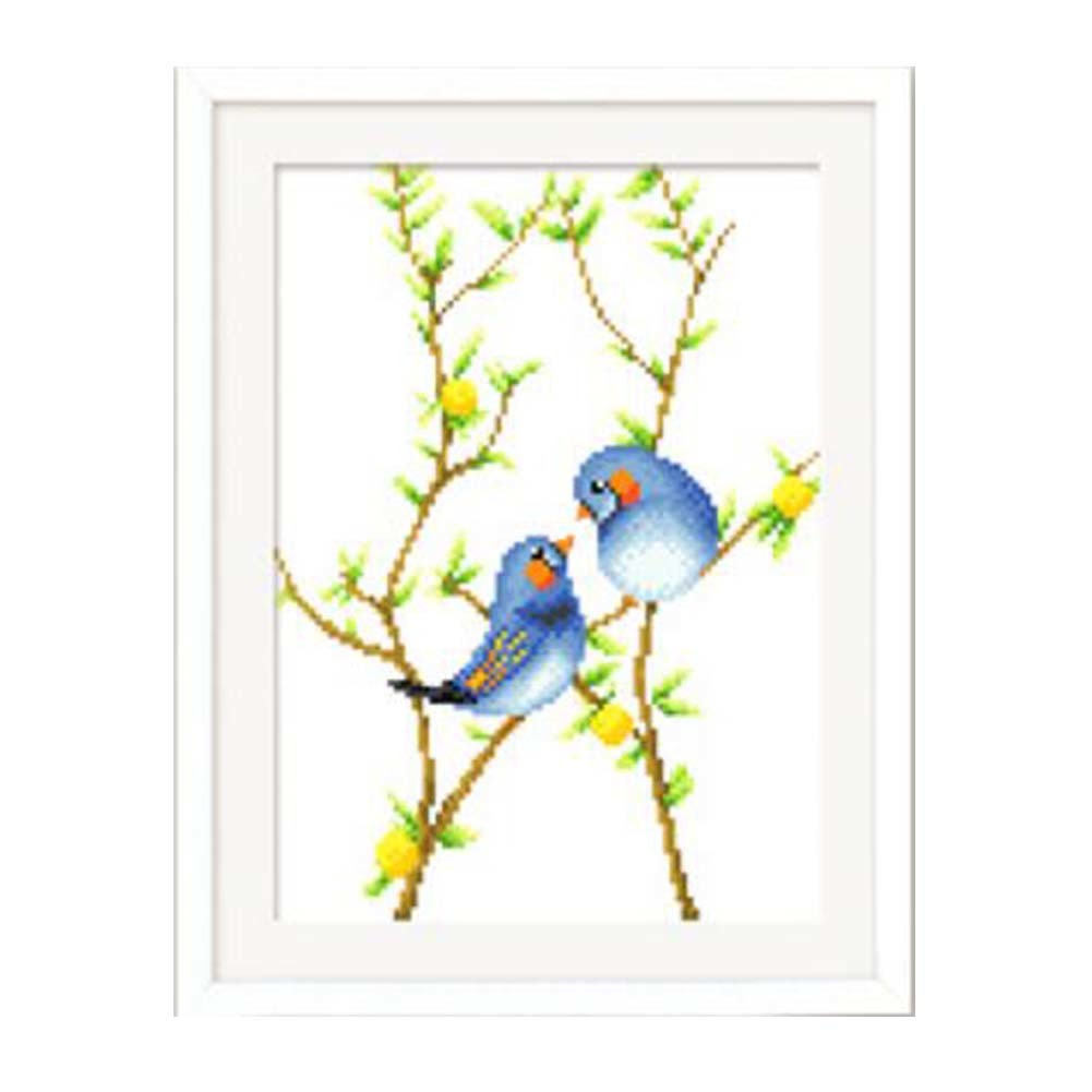 Lovely Birds DIY Cross Stitch Stamped Kits Pre-Printed 11CT Embroidery Kits Wall Decor, 10x14 inch