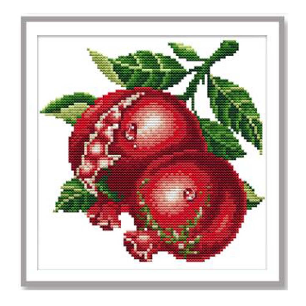 11CT Stamped Cross Stitch Kits DIY Embroidery Kits Needlework Arts Crafts Fruit Pomegranate Dining Room Kitchen Decor, 10x10inch