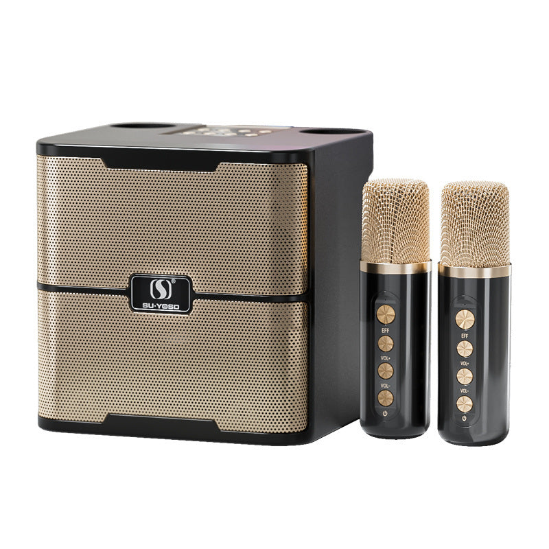 Family Karaoke Audio Set Wireless Microphone BT Speaker For Children's Outdoor Party
