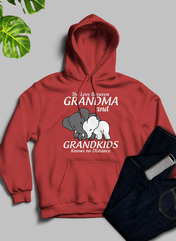 The Love Between Grandma And Grandkids Knows No Distance Hoodie