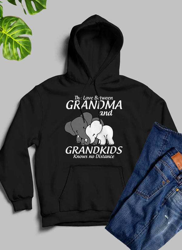 The Love Between Grandma And Grandkids Knows No Distance Hoodie