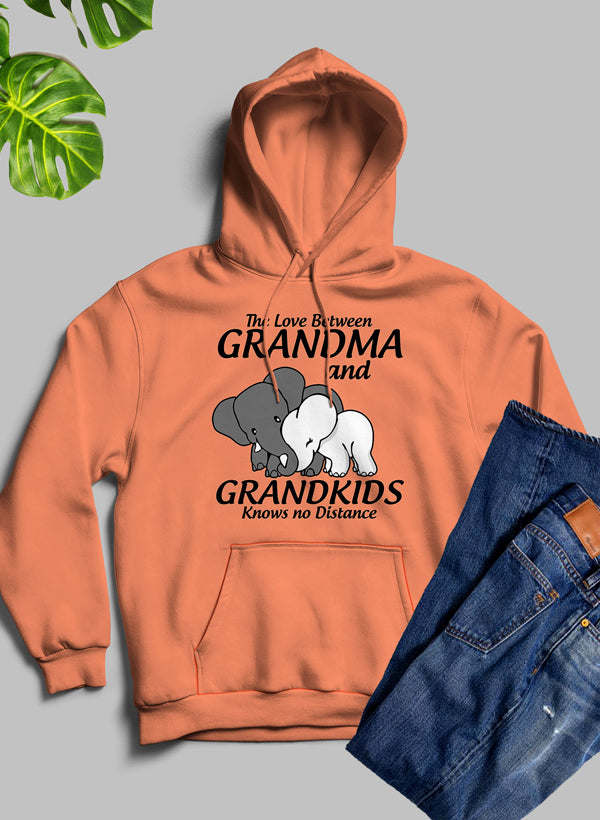 The Love Between Grandma And Grandkids Knows No Distance Hoodie