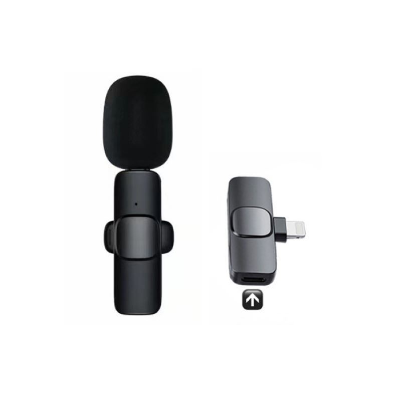 Portable Audio Video Recording Mini Microphone