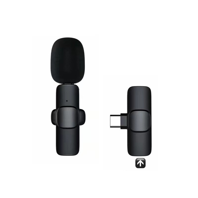 Portable Audio Video Recording Mini Microphone