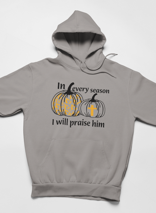 In Every Season I Will Praise Him Hoodie