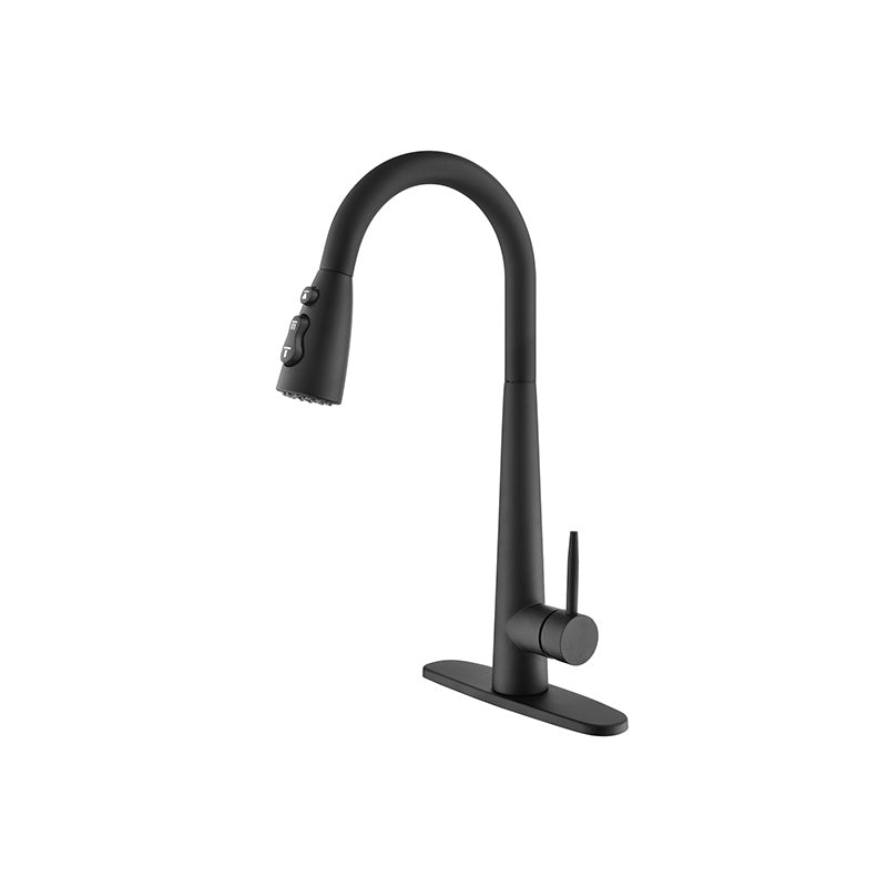Commercial Modern Stainless Steel Kitchen Faucets