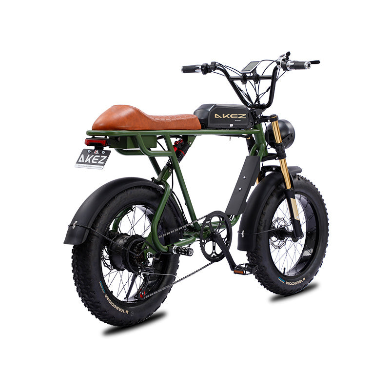 AKEZ S1 750W 48V 20 Inch Flat Tire Electirc Bicycle