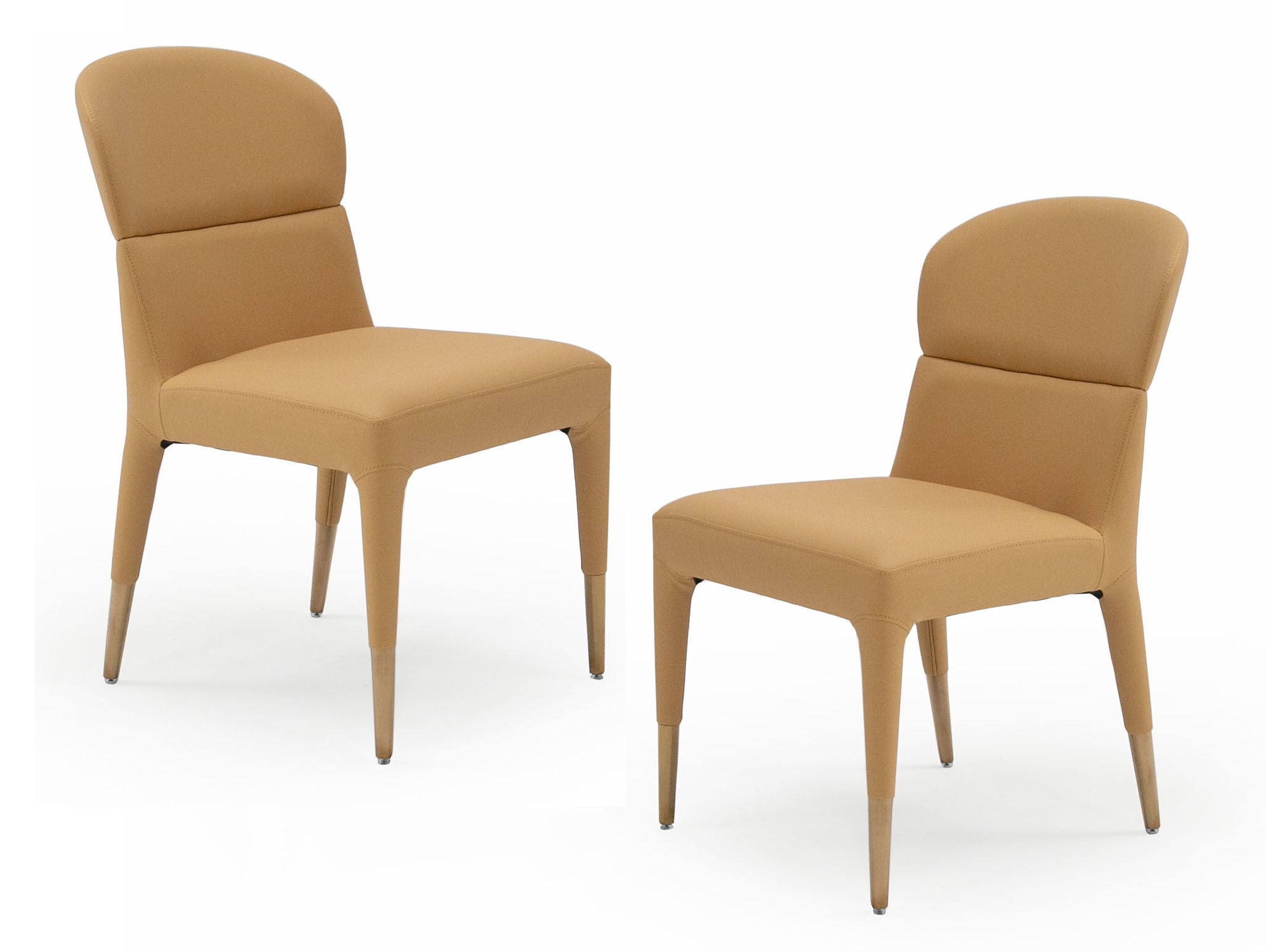 Ogden Modern Orange & Rosegold Dining Chair (Set of 2)