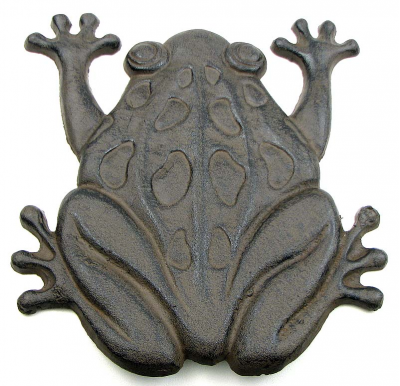 Frog Stepping Stone