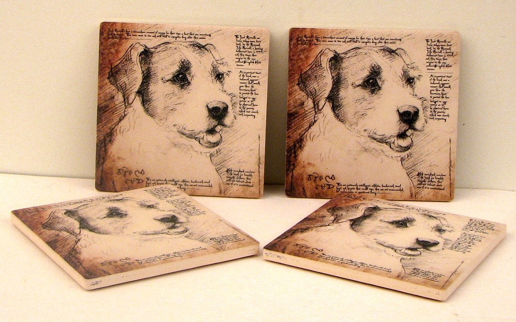 Jack Russell Terrier Coasters Set of 4