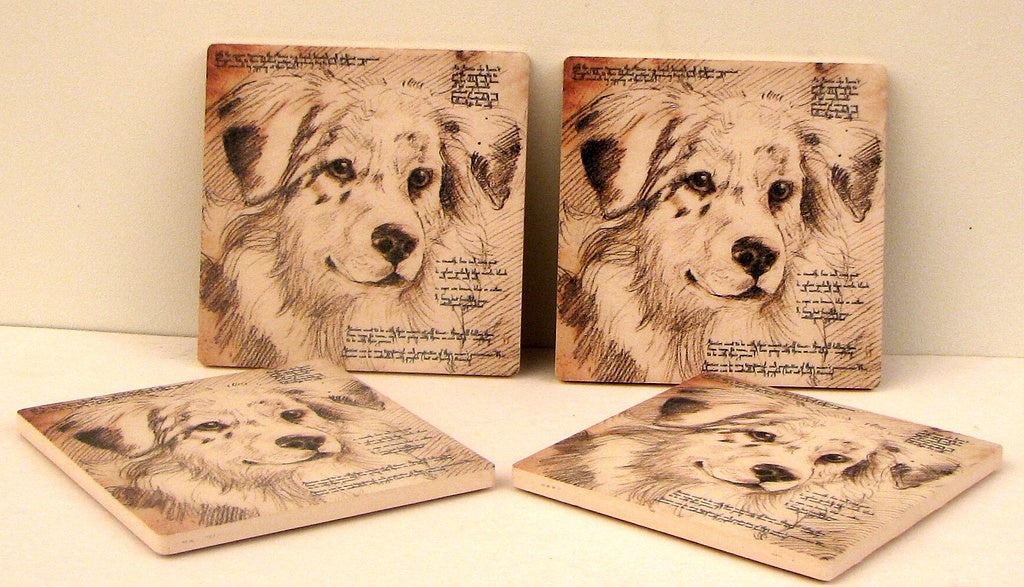 Australian Shepherd Coaster Set of 4