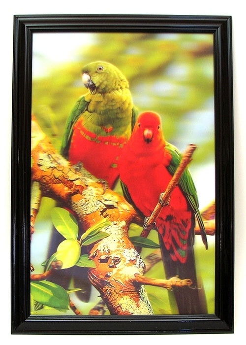 Parrot 3-D Picture REDUCED