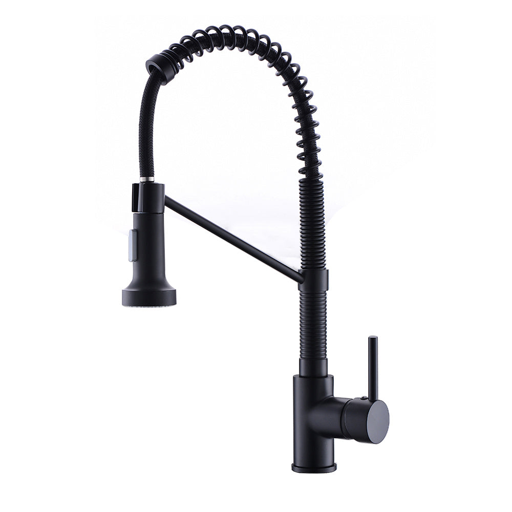 New Single Handle Pull-Out Sprayer Kitchen Faucet