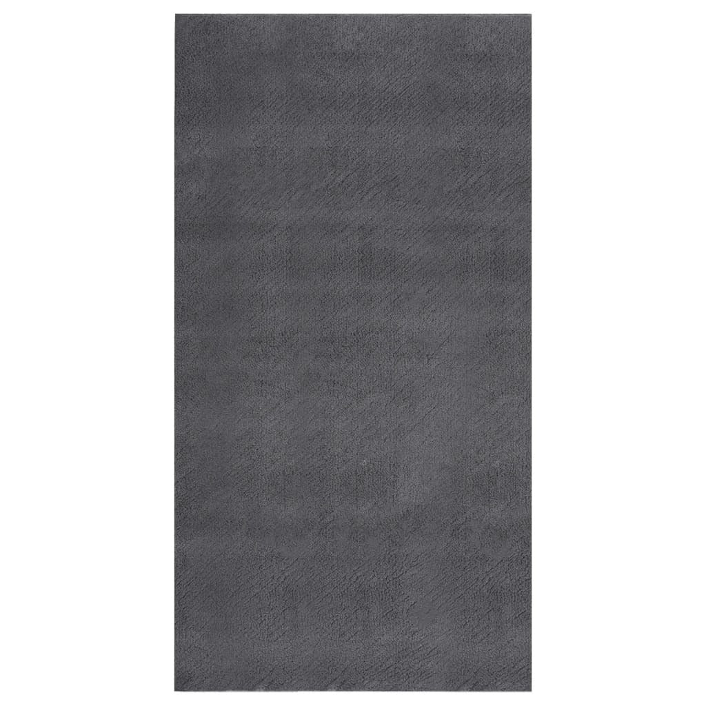 Shaggy Rug Anthracite 4'x6' Polyester