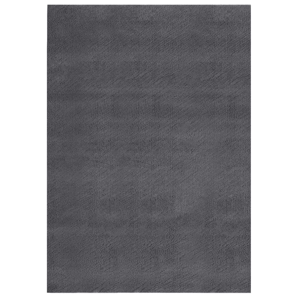 Shaggy Rug Anthracite 7'x9' Polyester