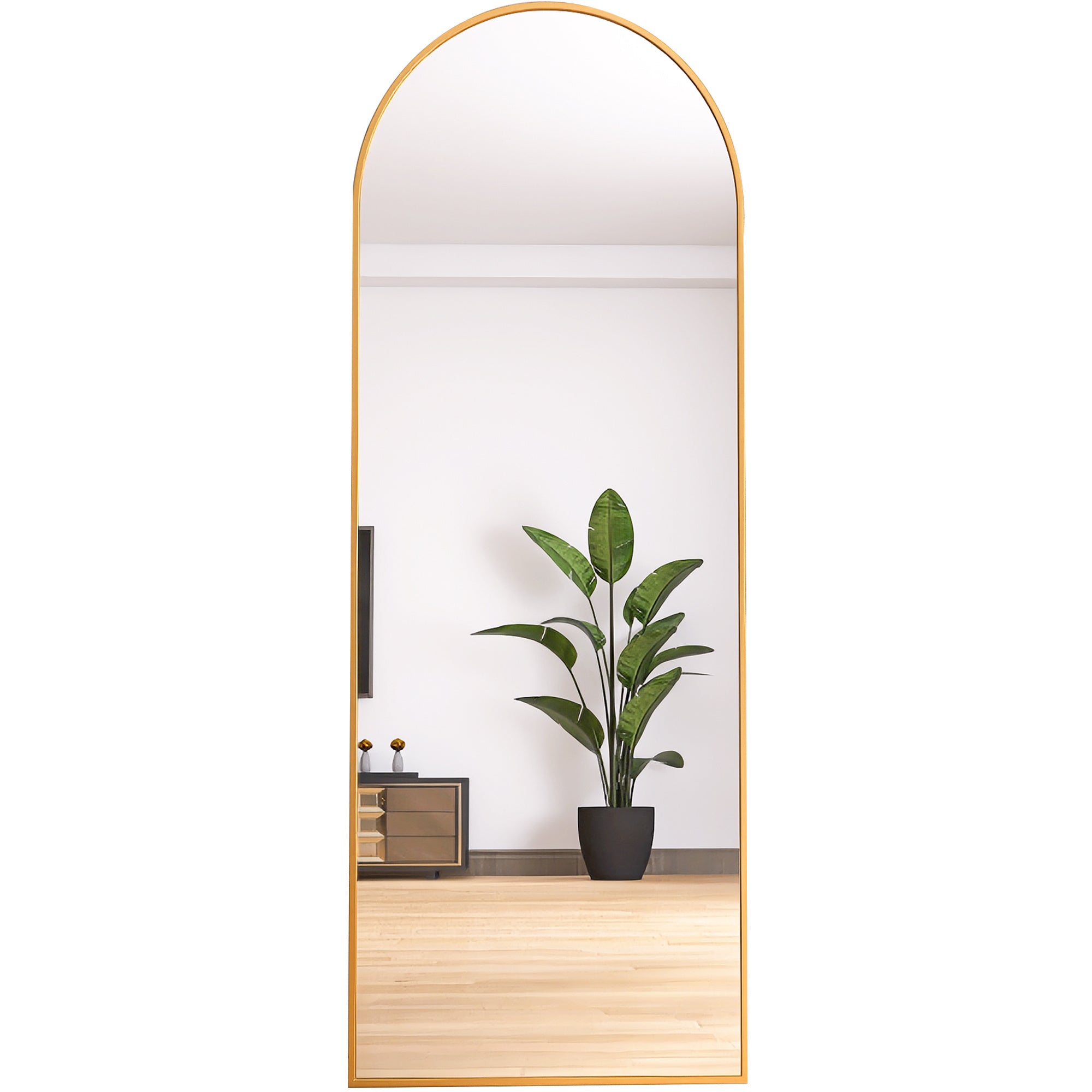 65" Arched Full Length Mirror Floor Dressing Mirror - Golden