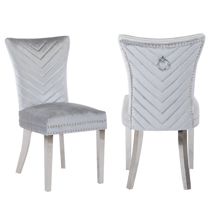 Eva 2 Piece Stainless Steel Legs Chair Finish with Velvet Fabric in Silver