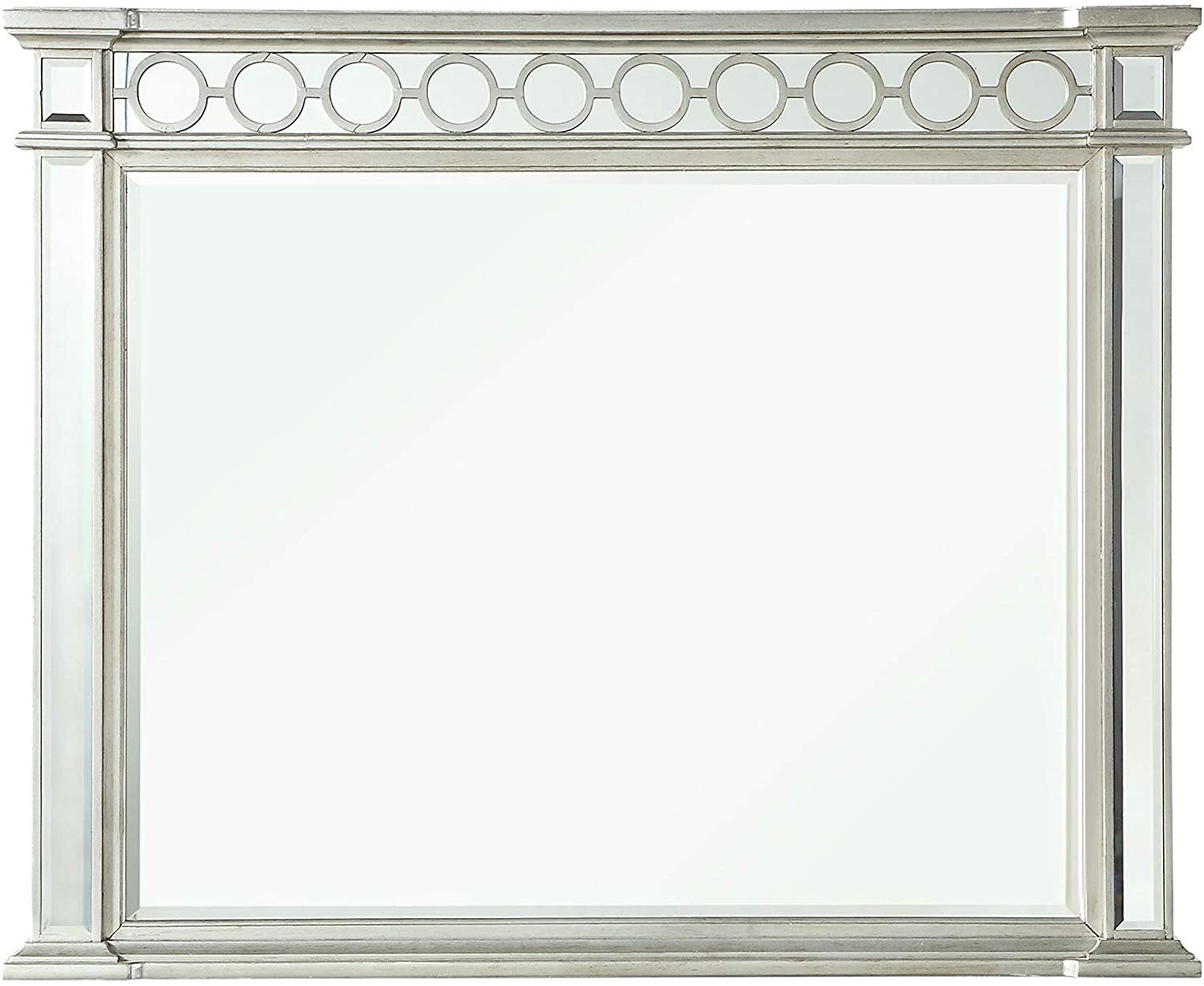 ACME Varian Mirror in Mirrored 26154