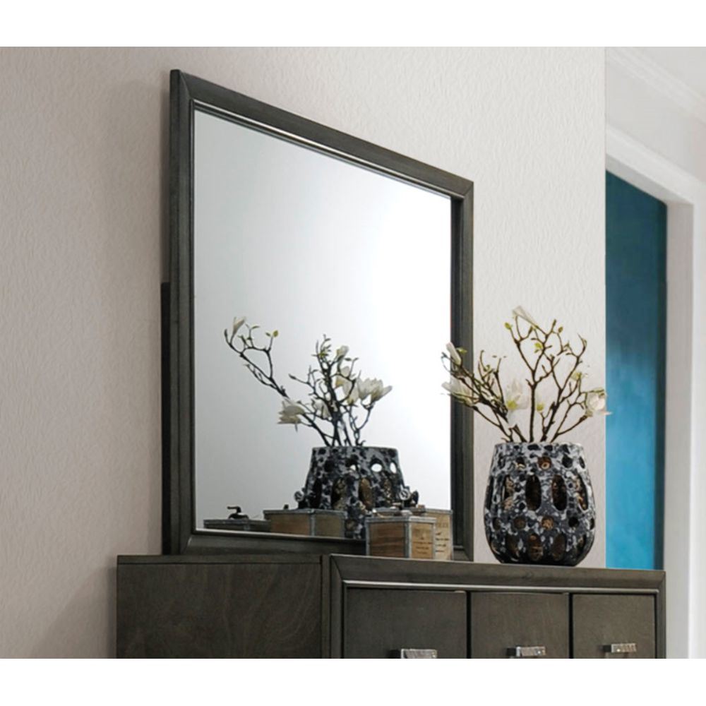 ACME Carine II Mirror in Gray 26264