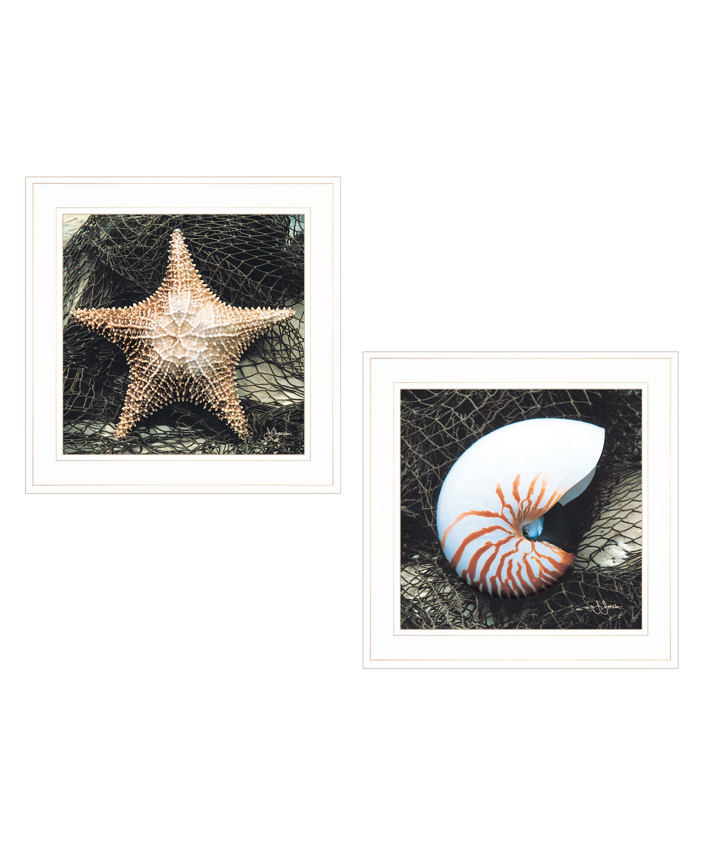 "Ocean Net Collection" 2-Piece Vignette By John Jones, Ready to Hang Framed Print, White Frame