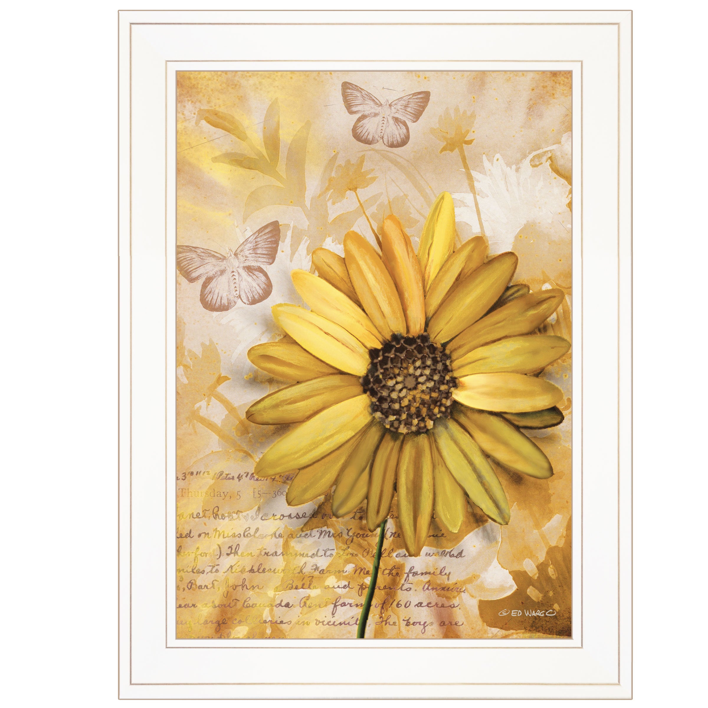 "Flowers & Butterflies II" By Ed Wargo, Ready to Hang Framed Print, White Frame