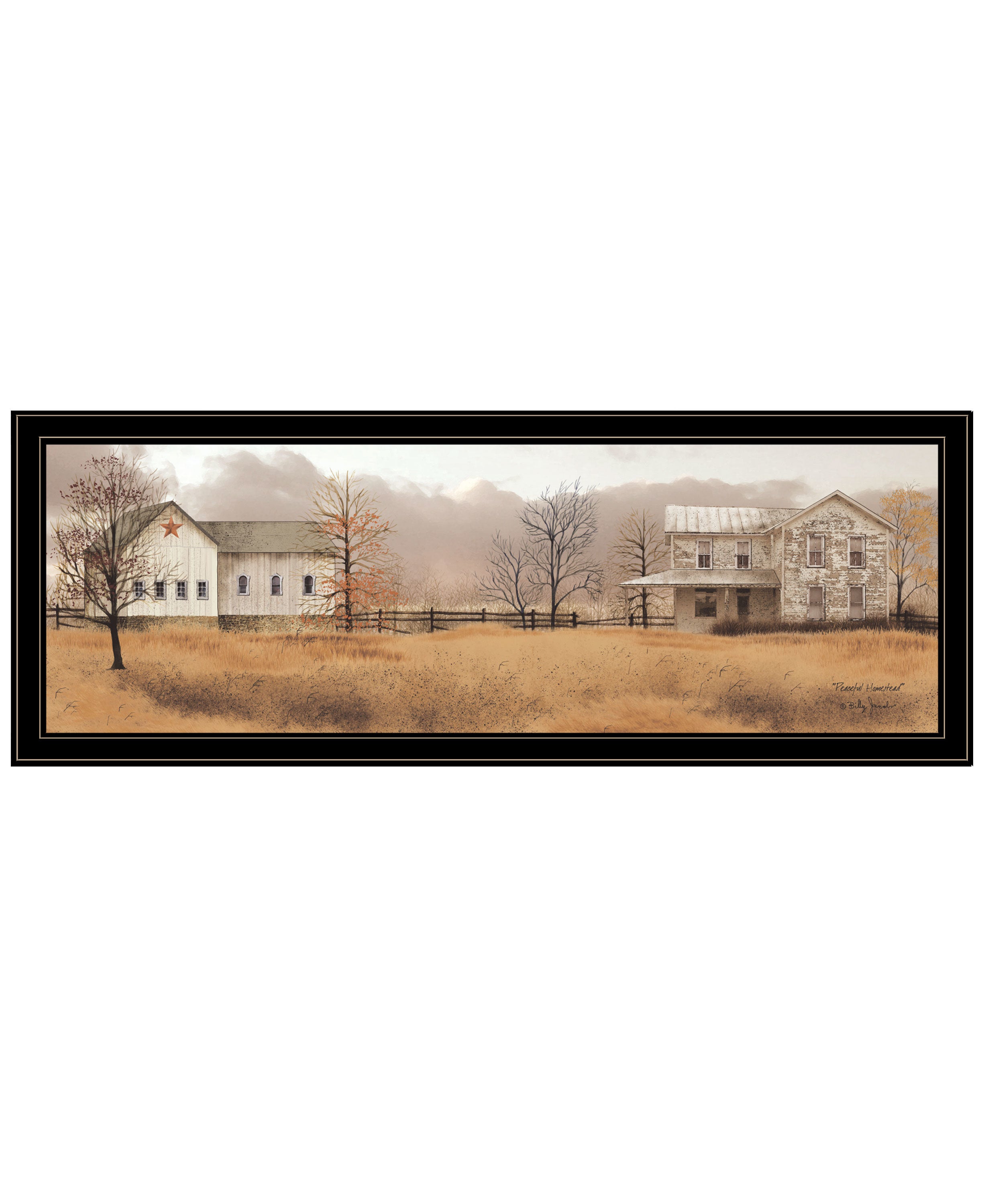 "Peaceful Homestead" by Billy Jacobs, Ready to Hang Framed Print, Black Frame