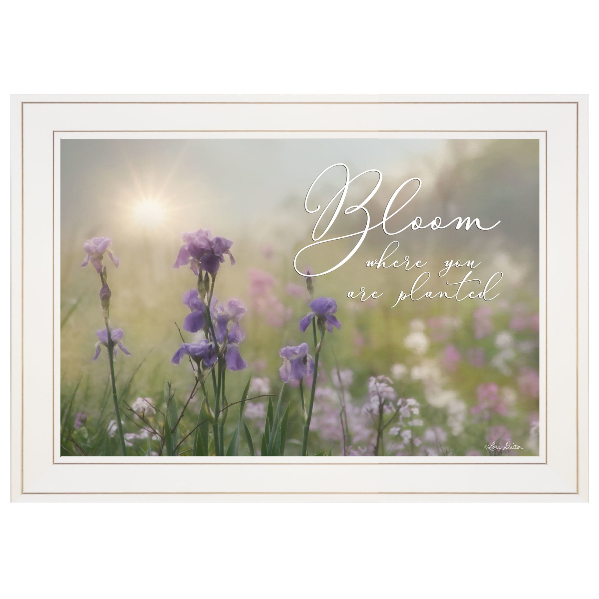 "Bloom where you are planted" by Artisan Lori Deiter , Ready to Hang Framed Print, White Frame
