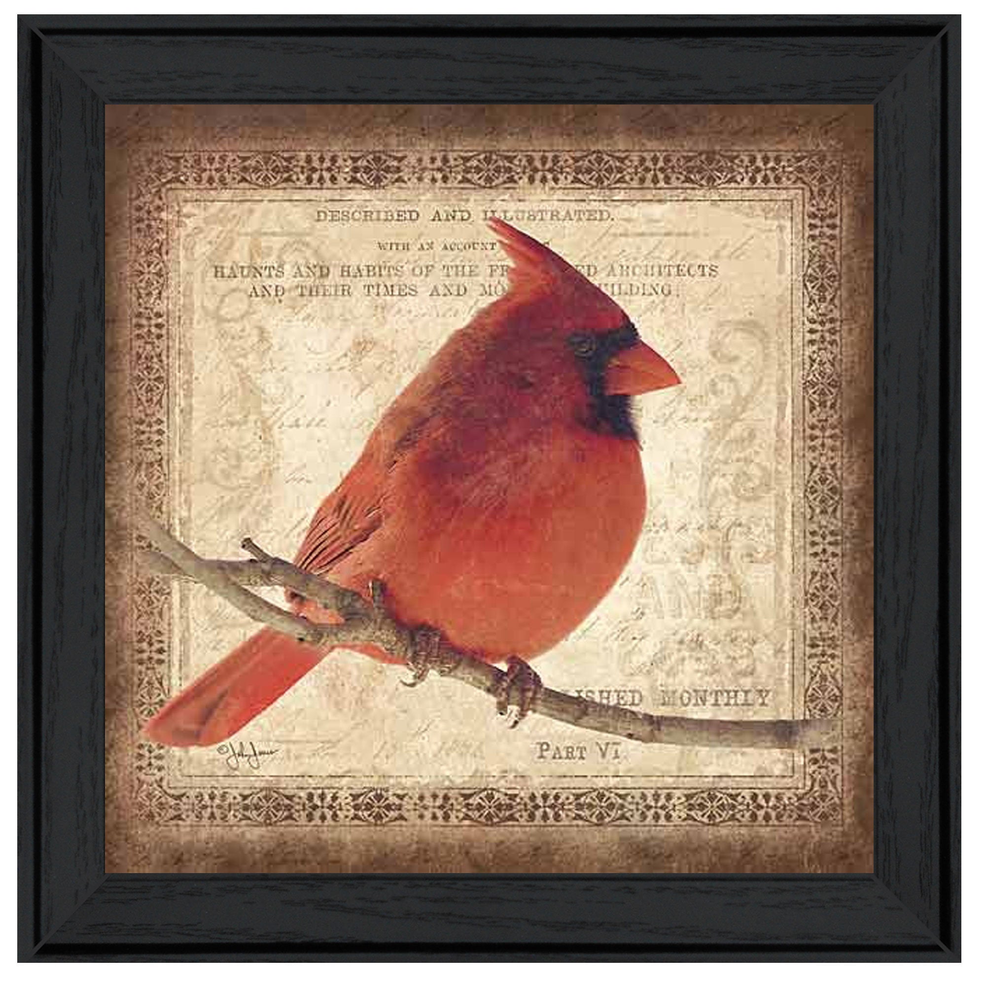 "Male Cardinal" by Artisan John Jones, Ready to Hang Framed Print, Black Frame